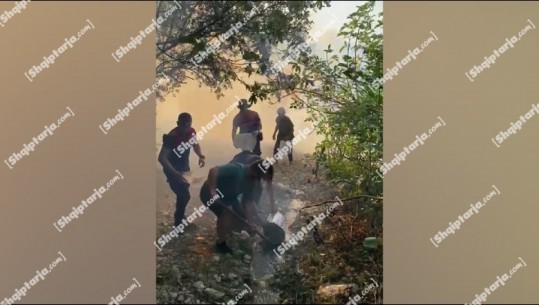 VIDEOLAJM/ Kova me ujë për të fikur zjarrin, edhe policia në ndihmë të ushtrisë dhe zjarrfikësve në Asim Zenel të Gjirokastrës