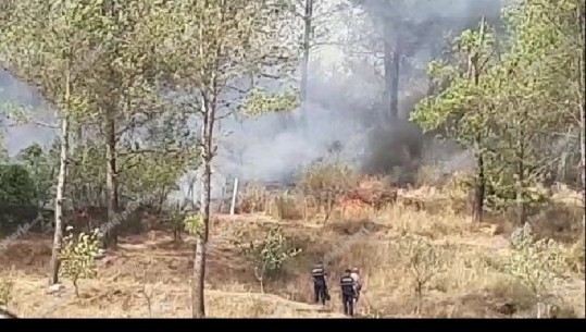 Zjarret në vend, Ministria e Mbrojtjes: Gjirokastra po mbahen në monitorim! Vijon shuarja e vatrave nga veriu në jug, ndërhyrje nga ajri në Vlorë