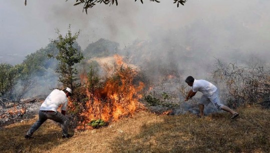 Zjarret në vend, Basha: Rama i heq helikopterin ushtrisë, e përdor për udhëtimet e tij