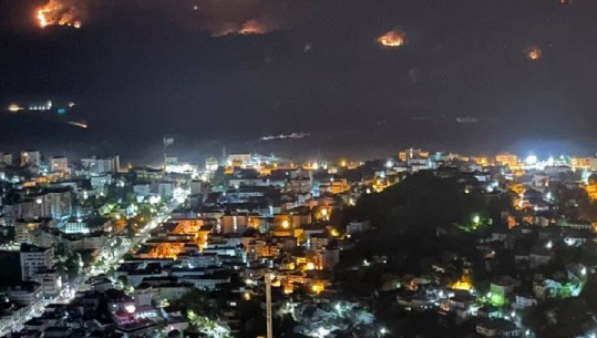 Normalizohet situata në Gjrokastër, Peleshi: Të gjithë vatrat e zjarrit janë eliminuar! Kërkojmë bashkëpunim komunitar për identifikimin e zjarrvënësit 