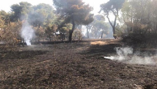 Administrata e Zonave të Mbrojtura Vlorë: Zjarri vazhdon të kërcënojë Parkun e Llogarasë! Flakë edhe në pyllin e Pishë Poros