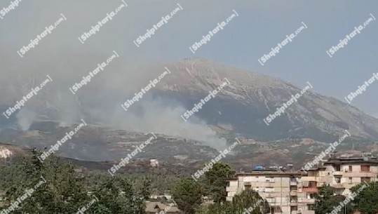 Riaktivizohet zjarri në fshatin Saraqinisht në Lunxhëri, flakët 'përpijnë' kodrat
