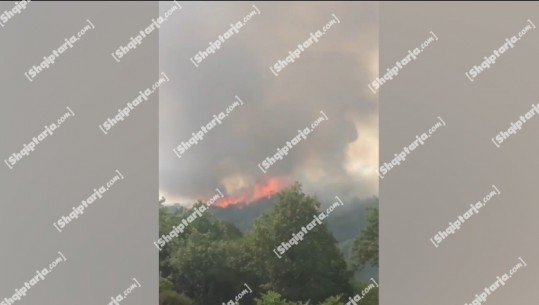 Zjarr i përmasave të mëdha në 3 fshatra të Mallakastrës, digjen 35 hektarë pyje e ullishte! Flakët i afrohen një lagjeje