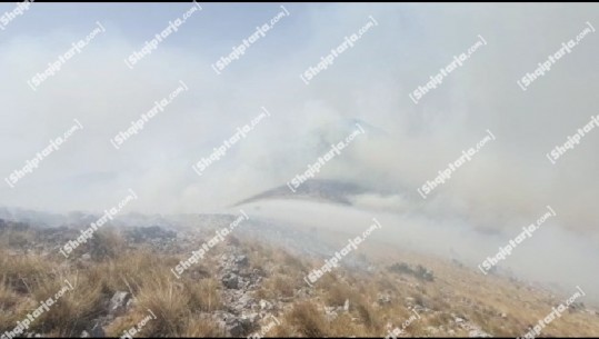 Shuhet zjarri në gjirin e Gramës në Vlorë, ende prezent rreziku për Llogaranë, Zonat e Mbrojtura: Jemi në gatishmëri, flakët mund të afrohen