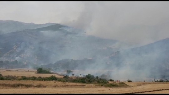 Zjarret aktive në vend, situata e normalizuar nga veri në jug, vatrat nuk paraqesin rrezik! Përmirësohet situata në Karaburun
