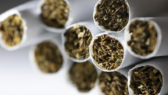 Belgjikë, 45 të arrestuar për kontrabandë me cigare