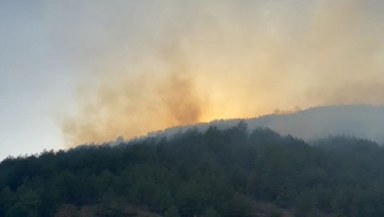 Shkodër/ Shuhet vatra e zjarrit në malin e Cukalit, vihen nën kontroll flakët në Fushë-Arrëz
