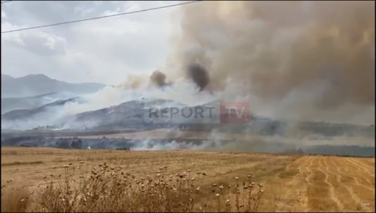Zjarret në Vlorë/ Situatë kritike në fshatrat Gjormë dhe Gumenisë, digjen disa banesa! Vijon evakuimi i banorëve
