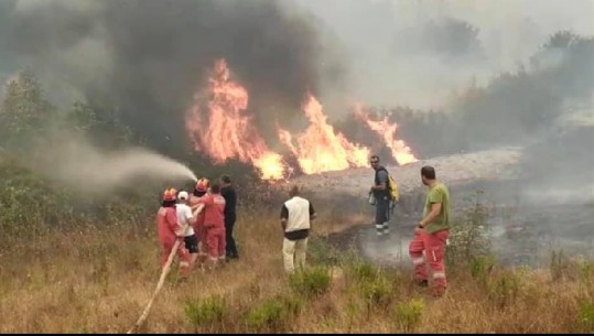 Zjarret në Vlorë/ Neutralizohet rreziku për banesat në Gjormë dhe Gumenicë! Nis ndërhyrja me helikopter nga ajri në Karaburun