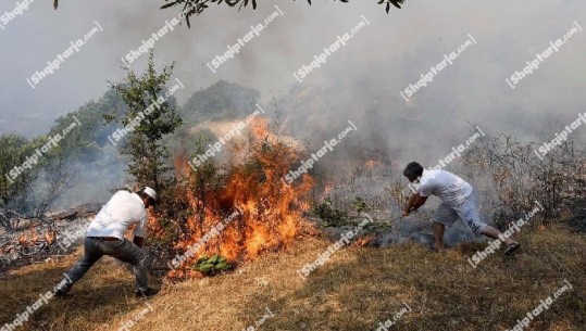 Zjarret në Gjormë e Gumenicë, Bashkia e Selenicës nis bilancin e dëmeve