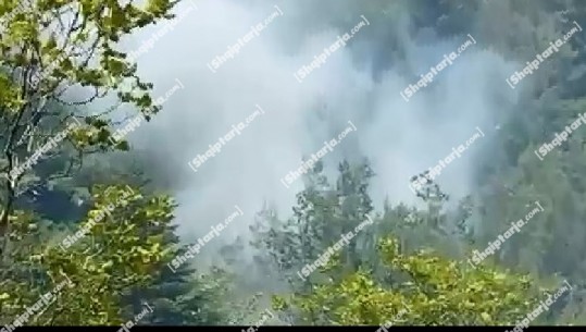 Përkeqësohet situata në Karaburun, era e fortë riaktivizon vatrën te Gropa e Pirit, digjen pyjet me bredha