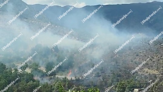Zjarr në Gjirokastër, aktivizohet një vatër në Mashkullorë