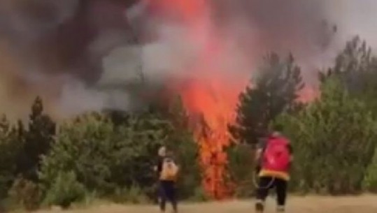 Maqedoni e Veriut, një numër i madh i zjarreve ende aktivë! Ministria e Brendshme : Në 90% të rasteve, fajtorë qytetarët 