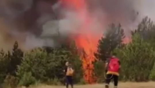 Digjen 3000 ha tokë në Maqedoninë e Veriut! Në Kosovë situatë e menaxhueshme, në Bjeshkët e Rugovës, Gjilanit dhe Vitisë ka ende vatra zjarri