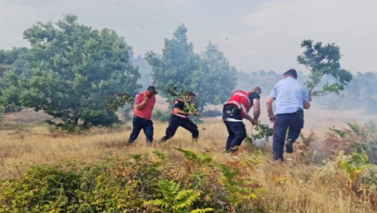 'Zjarrvënësit do përballen me ligjin', ministri Çuçi i paralajmëron: Me zjarrin nuk luhet e as bëhet shaka