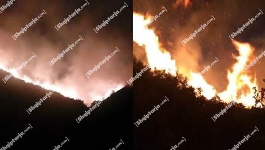 Zjarret/ 7 vatra aktive, kritike situata në Dukat të Vlorës, flakët me ndihmën e erës kanë marrë përmasa të frikshme, 200 trupa në terren! E vështirë gjendja edhe në Kalimash e Mirditë