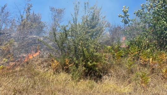 Zjarr në kodrat e Belshit, vihet nën kontroll, digjen mbi 10 hektarë shkurre dhe ullinj