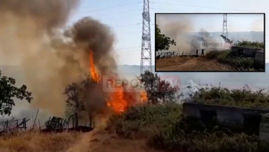 Fushë Krujë/ Neutralizohet zjarri i madh në afërsi të fshatit Borizanë! U rrezikuan 20 banesa! Digjen kabujt e linjës elektrike dhe shumë pemë