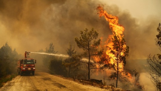 Zjarret apokaliptike në Greqi, 2 viktima e mijëra të evakuuar! Në Turqi, kritika të forta Erdogan për keqmenaxhim të situatës