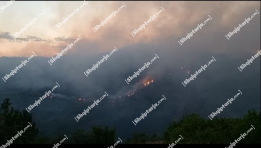 Zjarret/ Situata ende kritike në Voskopojë, nesër në mëngjes 100 efektivë në 'luftë' me flakët