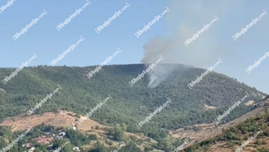 Digjen 100 hektarë pisha dhe pyje të Voskopojës, izolohen vatrat e zjarrit