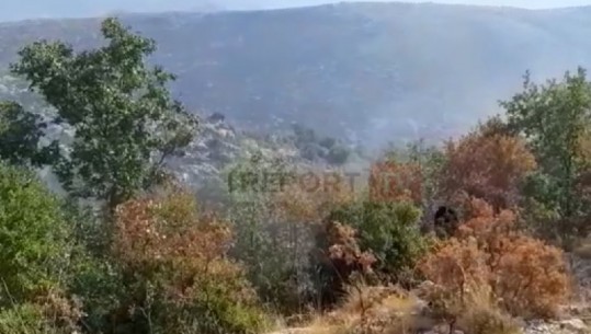 Situata kritike nga zjarret në Vlorë, flakët i afrohen Pakut të Llogarasë, helikopteri për shuarjen e vatrave punon vetëm dy orë