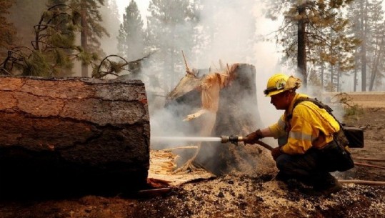 Kalifornia ende nën flakë! Zjrrëfikësit luftrojnë të shuajnë një ndër zjarret më mëdhenj në historinë e shtetit