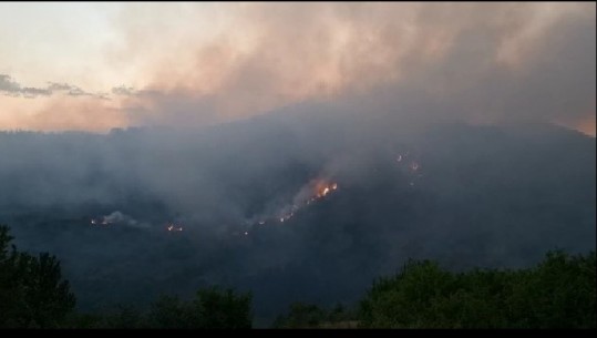 Vatër zjarri edhe në Pogradec, përfshihet nga flakët masivi pyjor në zonën e Mokrës, terreni i vështirë për të ndërhyrë