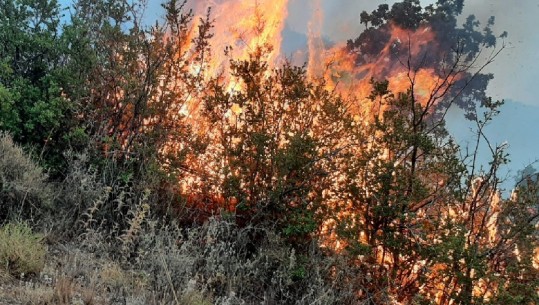 Era përkeqëson zjarrin në Lakun e Mollave në Kukës, ndërhyhet nga ajri