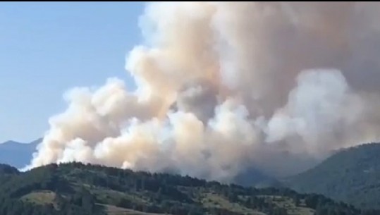 Zjarret në Voskopojë, bashkia Korçë bën bilancin: Zjarri përfshiu 150 hektarë tokë, shkrumbohen 30 hektarë pisha dhe ah