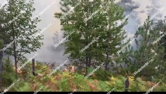 Vijon 'lufta' me flakët nga ajri në Kukës, era kthehet në pengesë për operacionin! Digjen 2000 hektarë tokë me pyje e bimësi