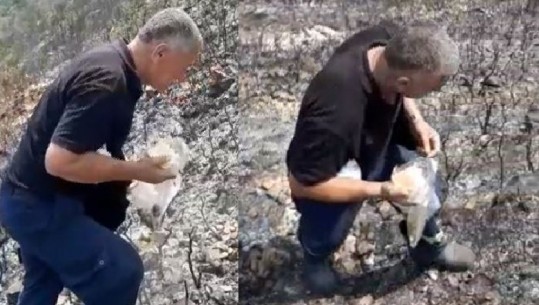VIDEO/ Dukë ngrënë bukë me ullinj mbi pyjet e shkrumbuara, njihuni me zjarrfikësin e Vlorës i cili prej 25 ditësh ka luftuar me zjarret në çdo cep të qytetit