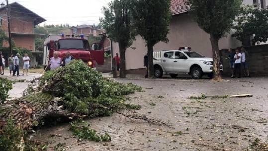 Ndryshimet e papritura të motit në Kosovë, shiu dhe era e fortë rrëzojnë shtyllat elektrike e pemë