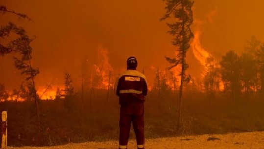  Prej javësh në flakë, alarmi i Greenpeace: Siberia, drejt zjarrit më të madh në histori
