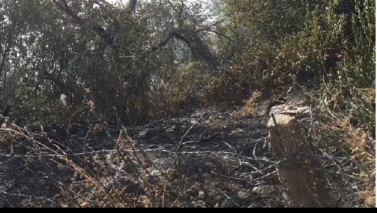 Gjirokastër/ Aktivizohet vatër zjarri në fshatin Memaliaj, shpërthejnë municione luftarake