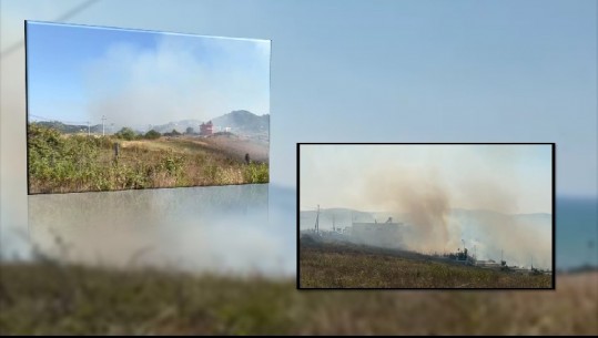 Rrezikoi banesa e bizneset, shuhet zjarri në Kepin e Rodonit! Përpihen nga flakët 20 ha shkurre e ferra dhe 5 dynym pyll