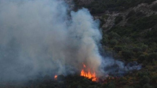 Shkaktoi zjarr aksidentalisht, procedohet një 57 vjeçar në Krujë, i vuri flakën një sipërfaqe toke, në pranga një 44-vjeçar në Kavajë 