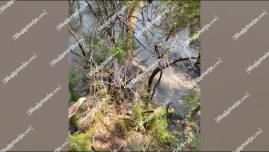 Vijon të jetë aktive vatra e zjarrit në Molung të Mirditës, flakët nuk përbëjnë rrezik për zonën e banuar