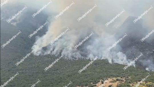 Situata me zjarret në vend, Ministria e Mbrojtjes: Aktivizohet një vatër në Prrenjas, po digjen pyjet e përfshira në UNESCO! Problematike situata në Majën e Rrunjës