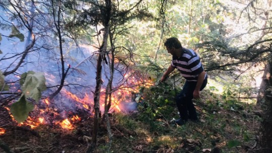 Zjarret, vijon të jetë problematike situata në Majën e Rrunës! Vatër aktive edhe në malin e Koritnikut në Kukës, zonë e mbrojtur e parkut natyror Korab-Koritnik