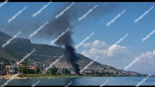 Zjarr në ferra e shkurre në Pogradec, digjen edhe goma! Zjarrfikësja izolon flakët, tymi mbytës përhapet gjithandej