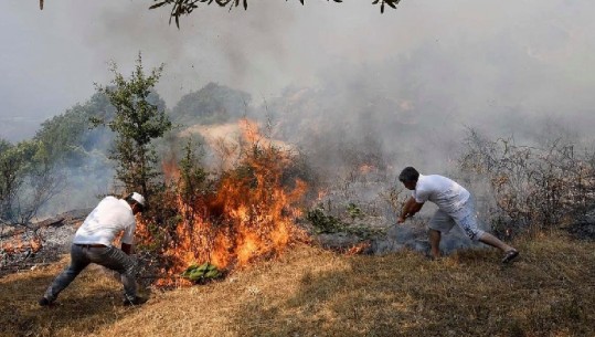 Nën 'pushtetin' e flakëve fshati Armiraj në Fushë-Arrës, zjarri i afrohet shtëpive! Ndërhyhet nga ajri me helikopter