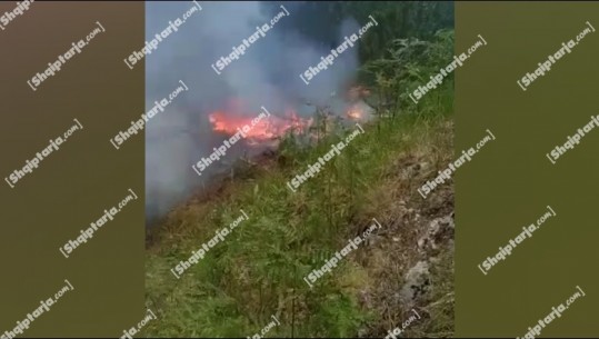 Riaktivizohet vatra e zjarrit në fshatin Mjeshovë në Berat, shkrumbohen 7 ha me pisha! Zjarri i qëllimshëm