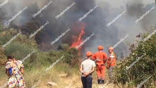 Përfshihet nga zjarri një kodër me ullinj dhe shkurre në Patos, forcat zjarrfikëse neutralizojnë flakët