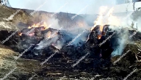 U rrezikuan banesa, vihet nën kontroll zjarri në fshatin Dushk të Lushnjes