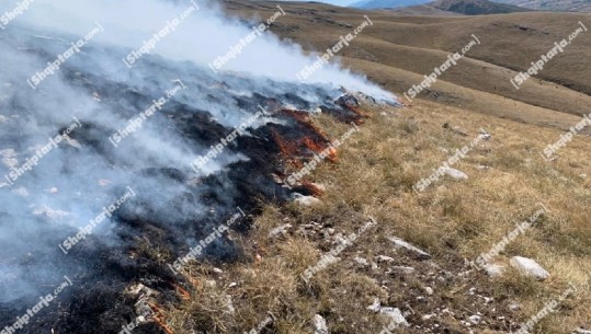 Zjarr në Malin e Thatë në Pogradec, rrezikohet Parku Kombëtar i Galiçicës! Punonjësit e Zonave të Mbrojtura punojnë me mjete rrethanore për shuarjen e flakëve
