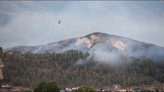 Bilanci i zjarreve në Gjirokastër/ Dy të vdekur dhe mbi 800 hektarë të djegura! 5 barinj hetohen në gjendje të lirë për zjarrvënie të qëllimshme