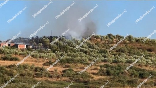Vlorë, aktivizohet një vatër zjarri në fshatin Sherishtë, rrezikohen banesat dhe stanet! Digjen dhjetëra rrënjë ullinj