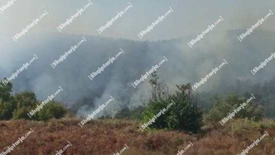 Pas 5 orësh në 'luftë' me flakët, shuhet zjarri në fshatin Zhulaj në Memaliaj! Digjen  10 ha me pyje e shkurre