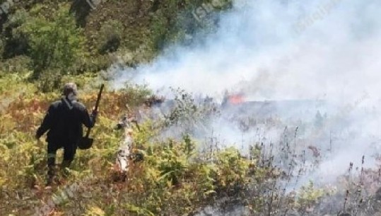 U kap duke u vënë flakën shkurreve dhe pishave në një kodër në Kombinat, arrestohet 37-vjeçari në Tiranë
